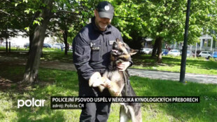 Policejní psovod z Karviné se svými psy Grimmem a Zikem uspěl v několika kynologických přeborech