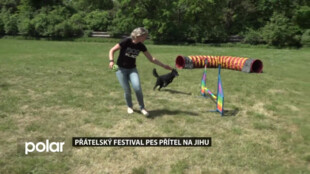V Ostravě-Jihu se uskuteční přátelský festival Pes přítel na Jihu. Nabídne zábavu i odborné besedy