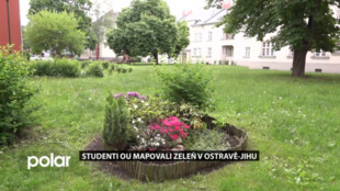 Ostrava-Jih má dostatek zeleně v docházkové vzdálenosti. Problémem je mobiliář a bariéry