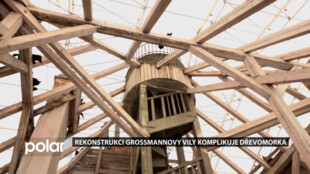 Rekonstrukci Grossmannovy vily komplikuje dřevomorka. Stavebníci jsou překvapeni kvalitou stavby