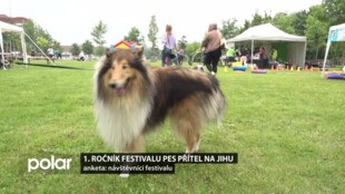 Milovníci pejsků si přišli na své na festivalu Pes přítel na Jihu