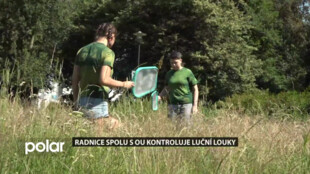 V Moravské Ostravě a Přívozu kontrolují luční louky. Přibývá díky nim hmyzu i vzácných motýlů a kobylek