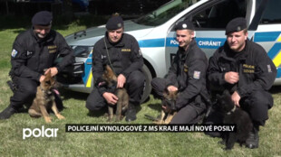 Policejní kynologové mají nové posily. Štěňata budou nyní 2 roky ve výcviku