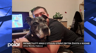 Patnáctiletý pes ARGO z havířovského útulku stráví zbytek života v rodině, nový domov našel až v Praze