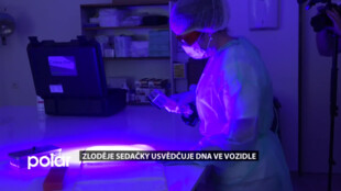 Policie zjistila, kdo ukradl hendikepovanému chlapci autosedačku, zloděje usvědčila DNA