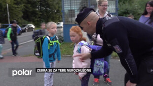 Probíhá akce Zebra se za tebe nerozhlédne, policisté hlídkují na přechodech u škol
