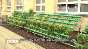 STUDUJ U NÁS: Gymnázium Bílovec postavilo aquaponickou farmu