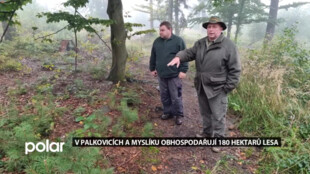 V Palkovicích a Myslíku obhospodařují 180 hektarů obecního lesa, vzniká i trailová trať