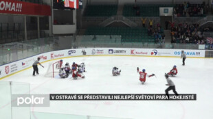 Do Ostravy se sjeli nejlepší světoví para hokejisté na IPH Cup. Ze zlata se radovali borci z USA