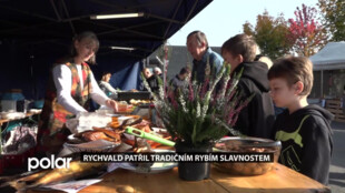 Rychvald patřil tradičním rybím slavnostem. K vidění byl i osmikilový sumec