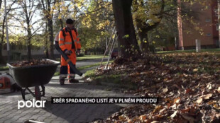 V Ostravě-Jihu uklízí spadané listí. Přednost mají frekventované ulice