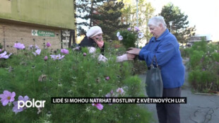 V Porubě kosí květinové louky. Květiny si lidé mohou odnést domů