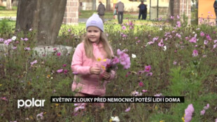 Květiny z louky před havířovskou nemocnicí potěší lidi i doma