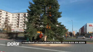 Vánoční strom bude stát v Havířově jen na náměstí Republiky, městu ho darovala rodina ze Šenova