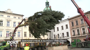 Ve Frýdku-Místku budou dělat radost darované vánoční stromy i stromečky zdobené dětmi