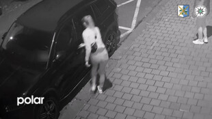 Žena v noci v Ostravě poškrábala zaparkované auto, natočila ji kamera
