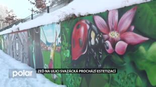 Zeď na ulici Svazácká v Ostravě-Zábřehu září barvami. Zkrášluje ji street art umělec