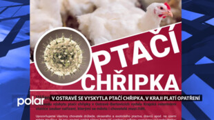 V Ostravě se vyskytla ptačí chřipka, v části kraje platí zvýšená opatření