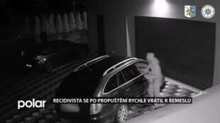 Recidivista se po propuštění rychle vrátil k řemeslu. Při krádežích mu nevadili psi, ani majitelé