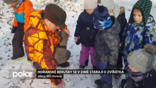 Hořanské Berušky se v zimě starají o zvířátka