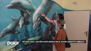 Pokoje dětského oddělení nemocnice v Havířově zdobí obrazy mořského světa s delfíny i víla