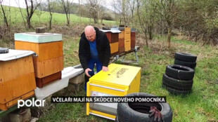 Novojičínští včelaři mají na škůdce nového pomocníka