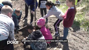 Veřejnost i bruntálští školáci pomáhali s výsadbou nové lipové aleje nad městem