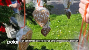 Na Den matek děti v Těrlicku trhaly ze stromů perníková srdíčka