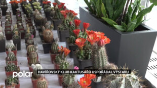 Havířovský klub kaktusářů uspořádal výstavu, zájem ze strany veřejnosti byl velký