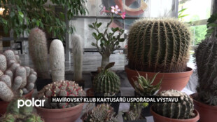 Havířovský klub kaktusářů uspořádal výstavu. Lidé dostali také rady, jak se o rostliny starat