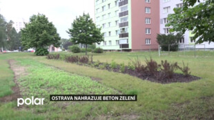 V Ostravě nahrazuje zeleň beton. Cílem je zmírnění dopadů klimatických změn