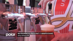 Festival Pivopění ve Frýdku-Místku představí 17 minipivovarů