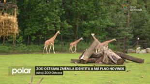 Zoo Ostrava změnila po dvaceti letech identitu a má plno dalších novinek