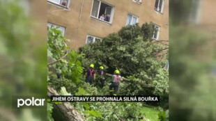 Vystrašení lidé, vyvrácené stromy, poškozená auta. V Ostravě-Jihu řádila silná bouřka