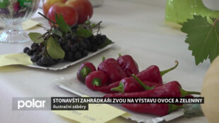 Stonavští zahrádkáři zvou na výstavu ovoce a zeleniny