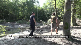 Lesy ČR pomohly Horní Suché s vybudováním tůně, díky které by už nemělo docházek k zaplavování zahrad