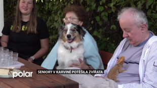 Seniory v karvinském Denním centru služeb potěšili psi, morče i agama