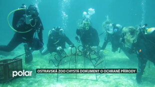 Ostravská ZOO chystá dokumentární seriál. Tématem je ochrana přírody