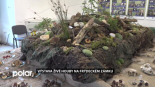 Zámek ve Frýdku-Místku připravil výstavu Živé houby, inspirovanou právě současnou houbařskou sezónou