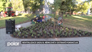 V Ostravě pokračuje revitalizace sadu Boženy Němcové, nešlapejte na vysazené záhony