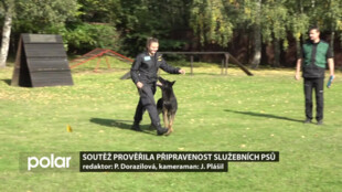 Obranářský speciál ve Studénce prověřil připravenost služebních psů