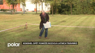Kokrhel opět pomůže rozvoji lučních trávníků v Ostravě