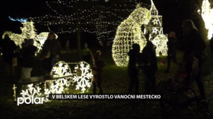 V Bělském lese vyrostlo vánoční městečko. Světelné 3D instalace uchvátí každého