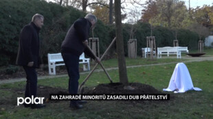 Na zahradě kláštera Minoritů v Opavě nově roste visegrádský strom naděje a přátelství