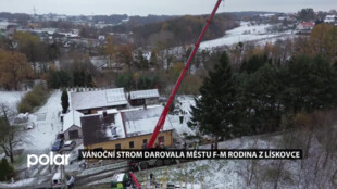 Vánoční strom pro Frýdek-Místek rostl 50 let u rodinného domu v Lískovci