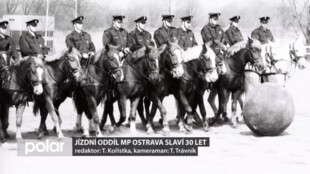 Jízdní oddíl MP Ostrava slaví 30 let. Ve službě je nyní 12 starokladrubáků