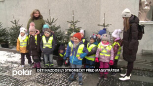 Děti nazdobily vánoční stromečky před magistrátem ve Frýdku-Místku