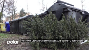 V Ostravě lze vánoční stromek legálně odložit u kontejnerů. Zastupitelstvo vyhlášku schválilo