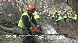 Kácením nemocných stromů a keřů začala za KD Radost v Havířově celková revitalizace parku