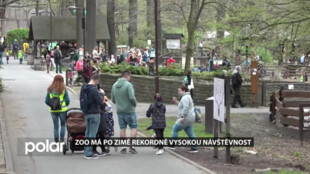 Ostravská zoo hlásí rekordní návštěvnost, může za to počasí i bohaté vyžití